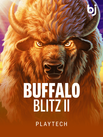 Buffalo Blitz II game icon